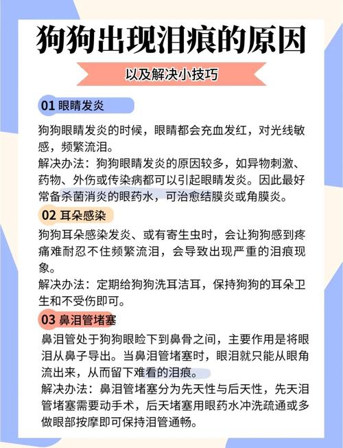 狗狗总是流眼泪是怎么回事啊