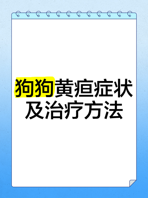 狗狗得黄疸死亡率是否很高