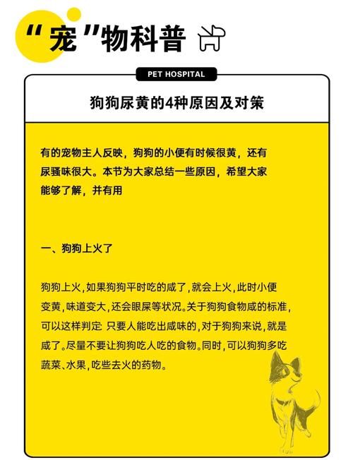 狗狗得黄疸的原因