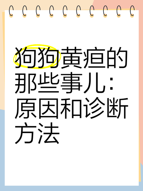 狗狗黄疸要多久退黄
