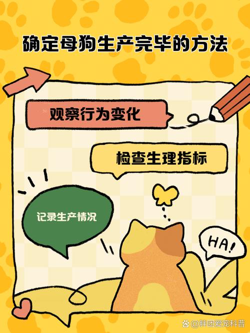 怎么判断狗狗生产结束