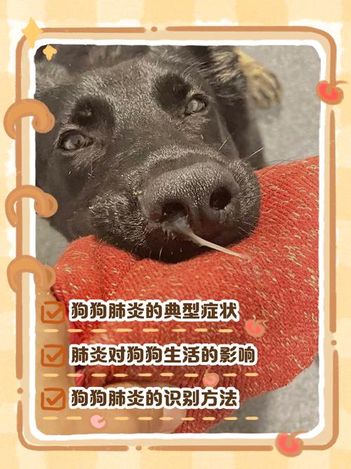 狗狗重度肺炎能治好吗