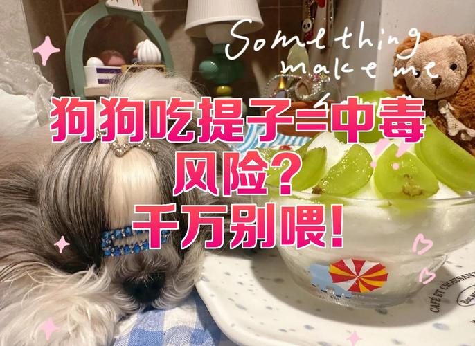 不小心给狗吃了一粒提子