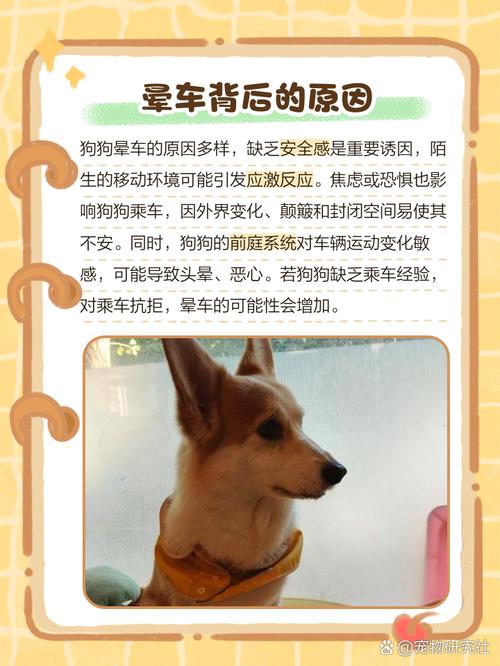 狗狗见到狗狗为什么会哼唧