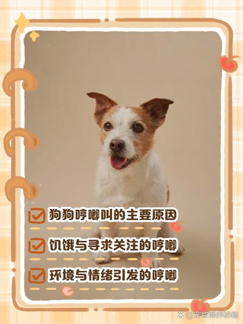 为什么狗狗叼着食物哼唧