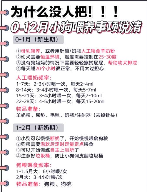 狗狗奶水不足吃什么下奶科学食疗催奶法