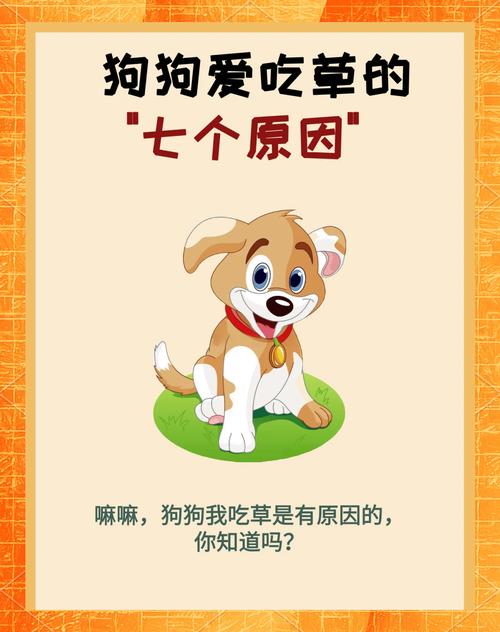 狗狗吃草,都是有原因的!!