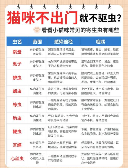 猫猫体内有寄生虫,吃驱虫药会拉虫子吗?