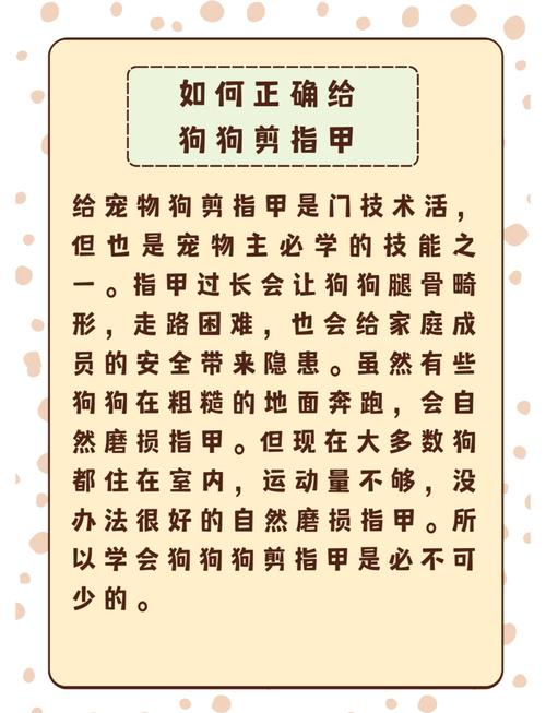 狗狗的指甲可以剪掉吗