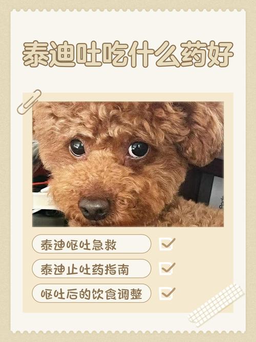 狗狗吃坏肚子呕吐拉稀怎么办?