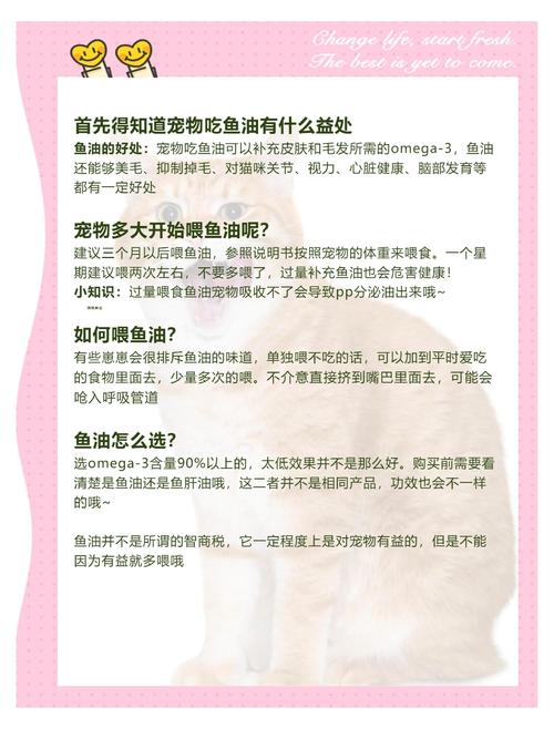 猫咪可以吃人的鱼肝油吗