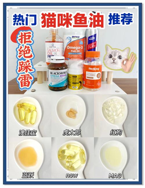 猫咪吃什么食物毛亮有光泽