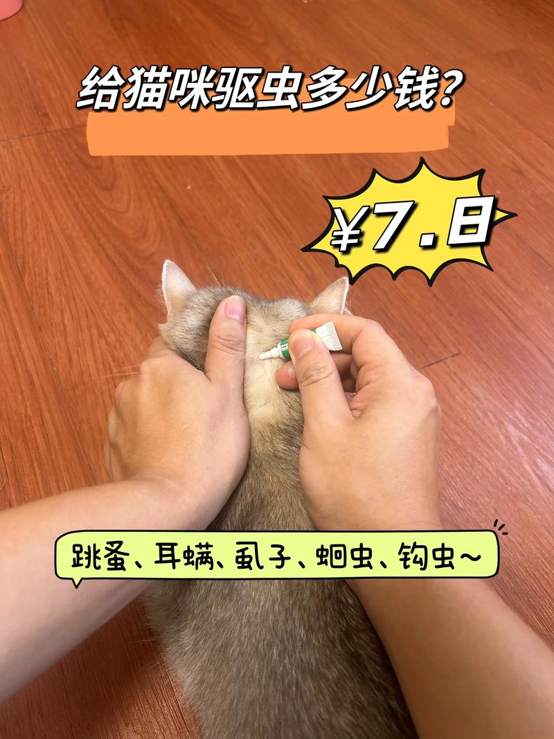 宠物医院猫驱虫多少钱