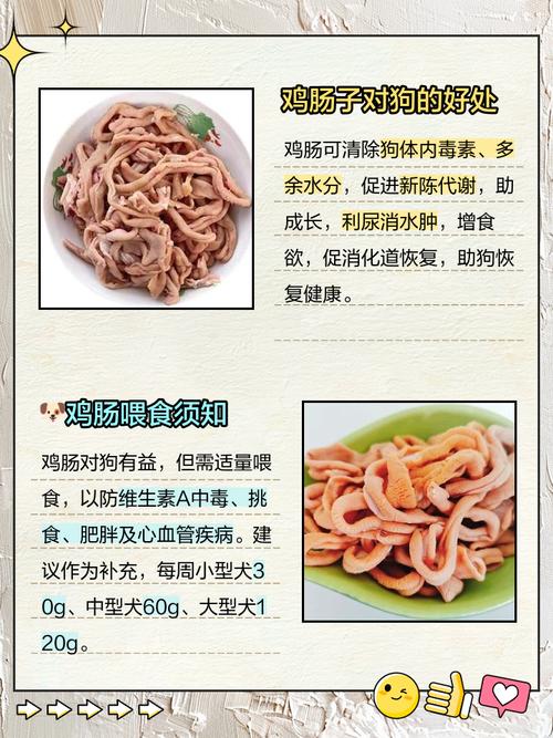 小狗吃鸡肉肠会怎么样?