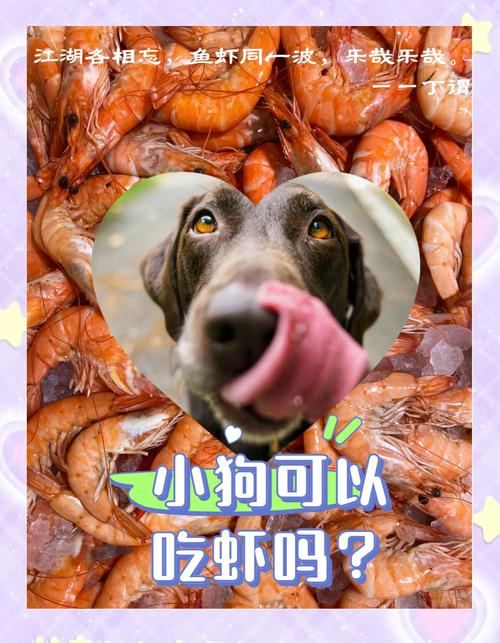 狗吃虾头会不会有事
