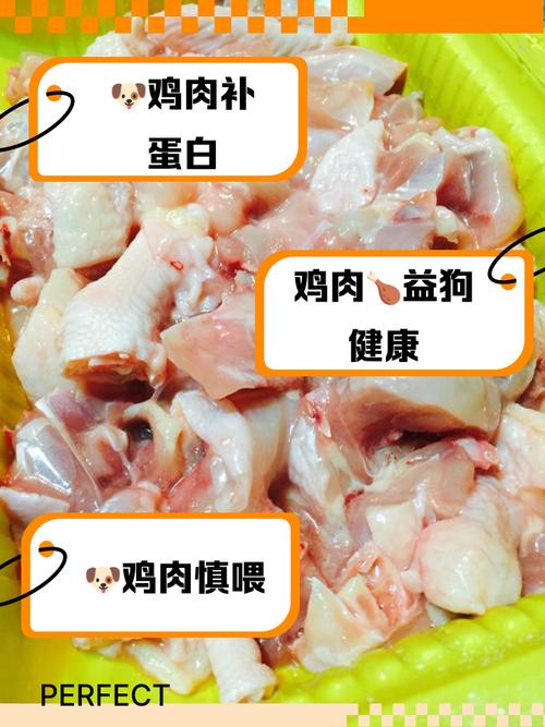 狗可以吃鸡汤吗