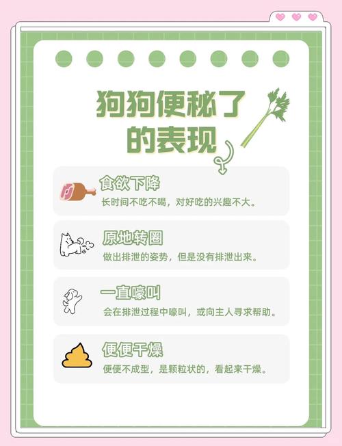 狗狗便秘怎么按摩最快通便