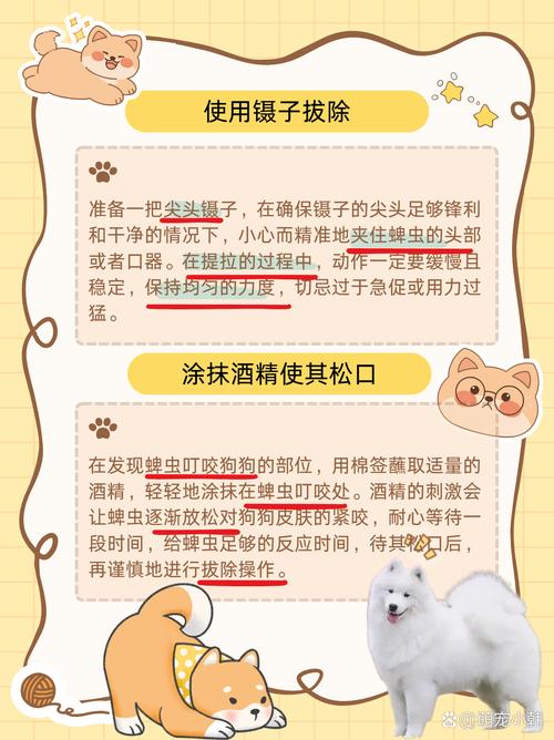 狗狗蜱虫除去最快方法