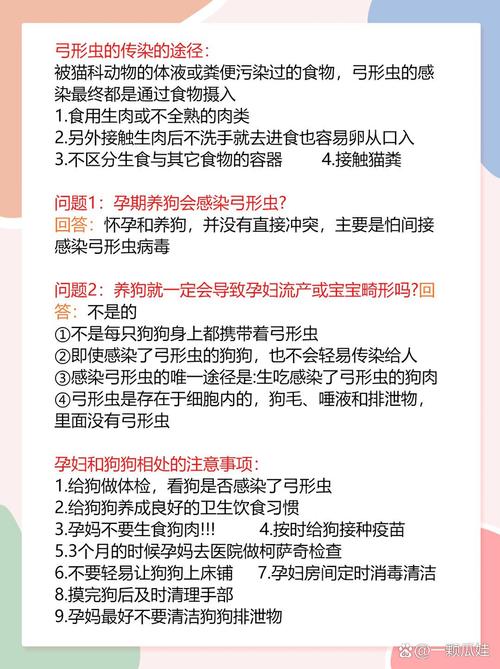 怀孕的人能养狗吗?