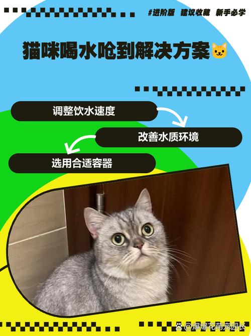 猫咪喝水容易呛到是怎么回事?