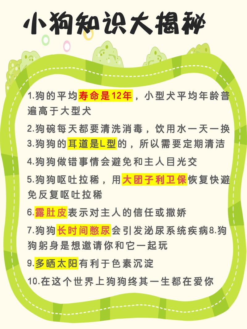 干货|15条狗狗生理知识