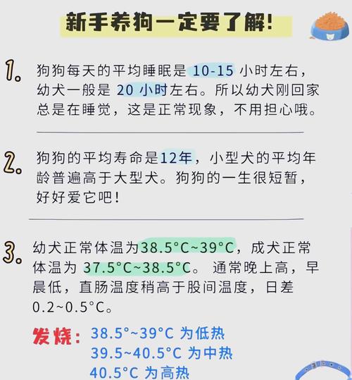 狗狗37度5是低烧吗