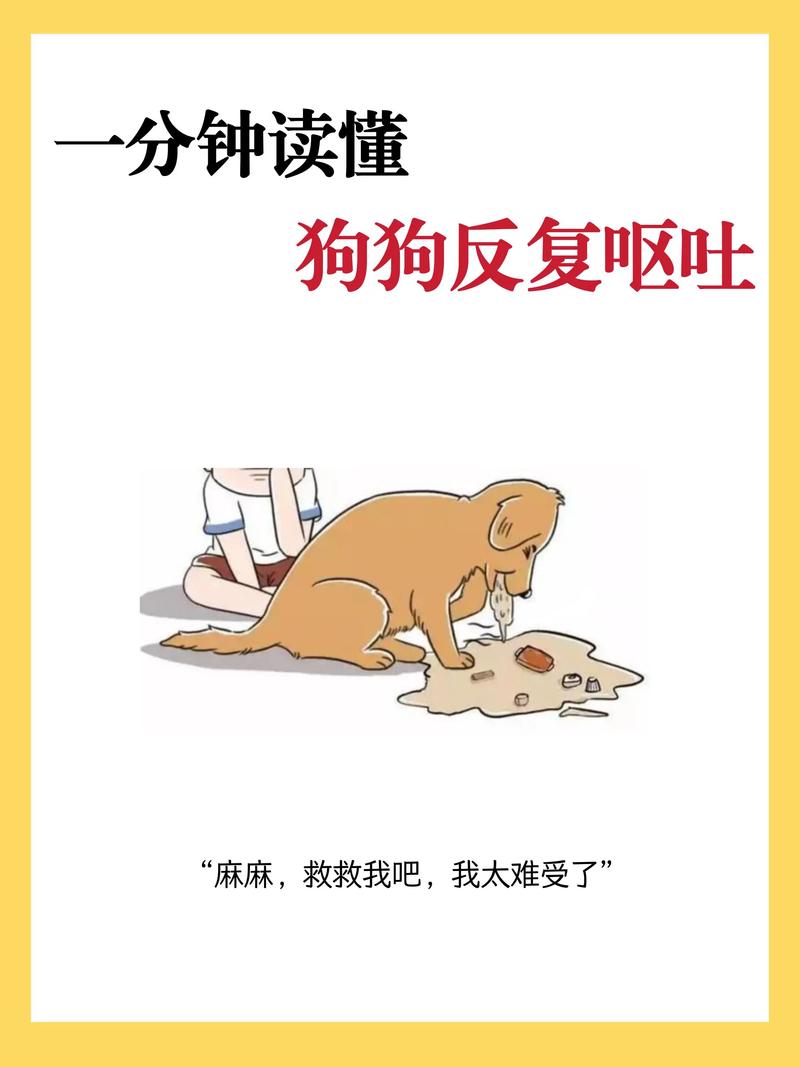 狗狗肚子像有水一样咕咕响