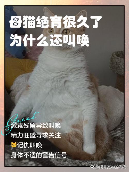 母猫绝育后还会叫吗