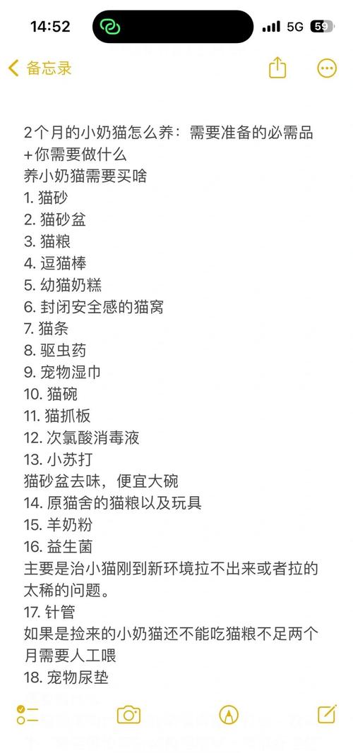 两个月的猫咪该如何养呢?需要注意哪些呢?