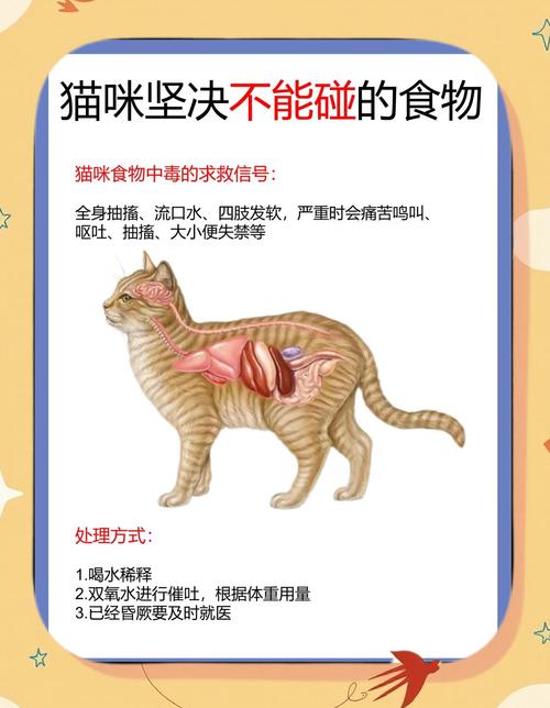 发现有时猫不吃东西无精打采的原因