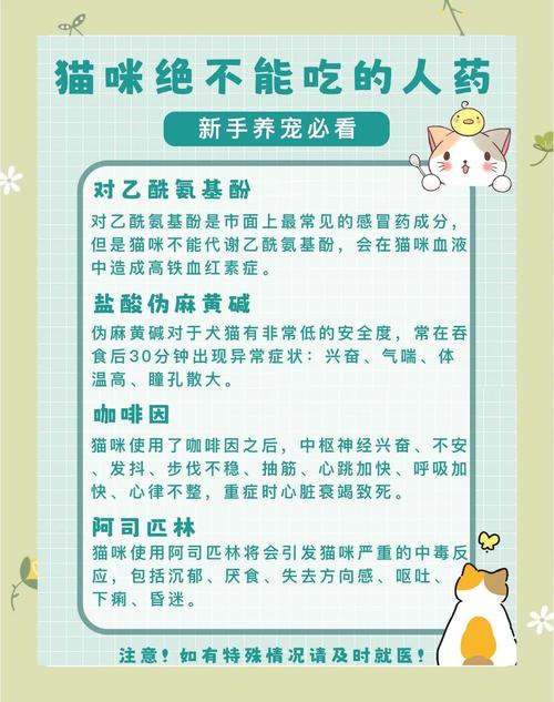猫咪不吃不喝没精神只趴着怎么办