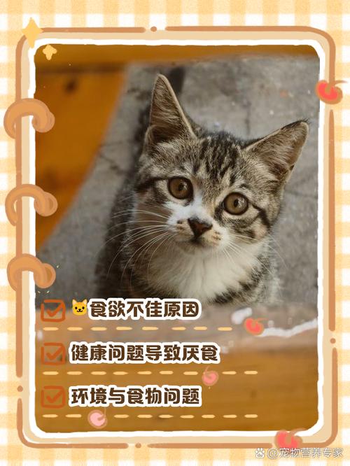 猫咪走丢再回来嗜睡不吃东西没有精神还会奇怪的叫?
