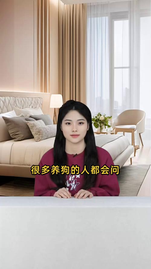 狗狗吃什么比较好