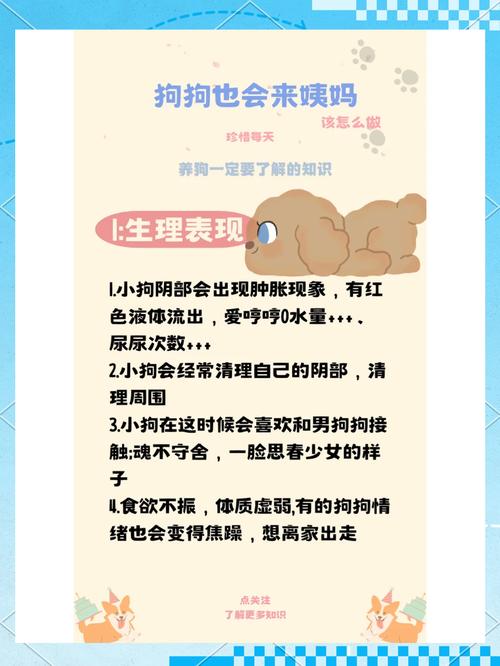 狗狗冷知识!最后一个你绝对想不到~