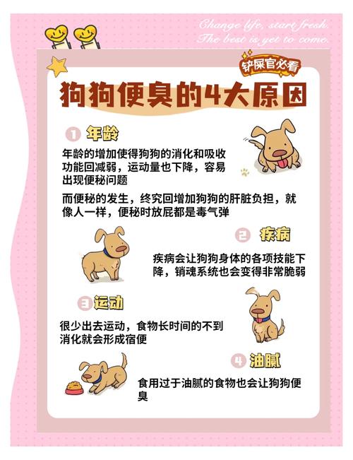 狗狗三天不拉屎怎么办