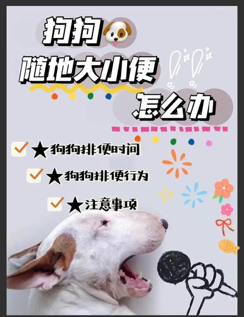 狗三天没拉大便该怎么办,狗狗3天不拉屎怎么办