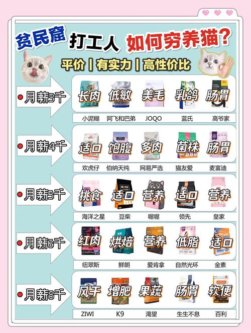 猫咪吃什么可以补充营养?
