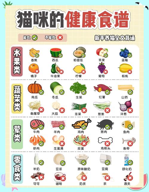 捡来的猫咪四个月了,吃什么东西有营养?