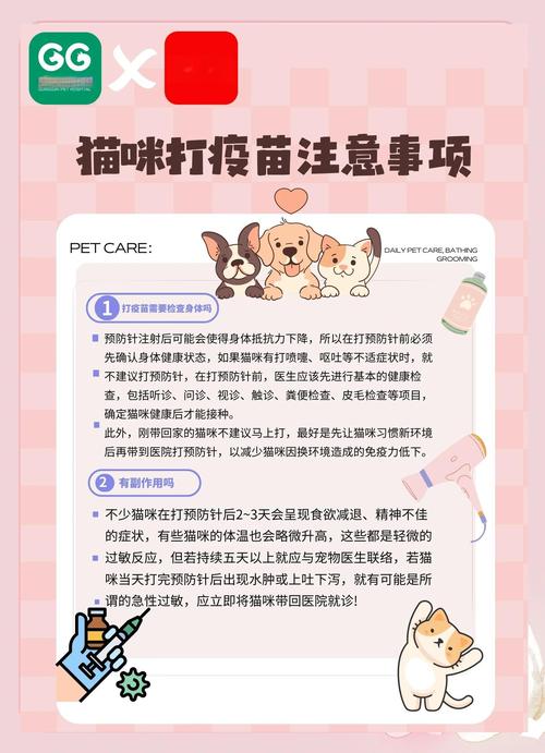 领养小猫咪回家过冬?