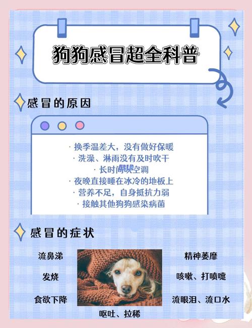 狗感冒了可以吃人的感冒药吗