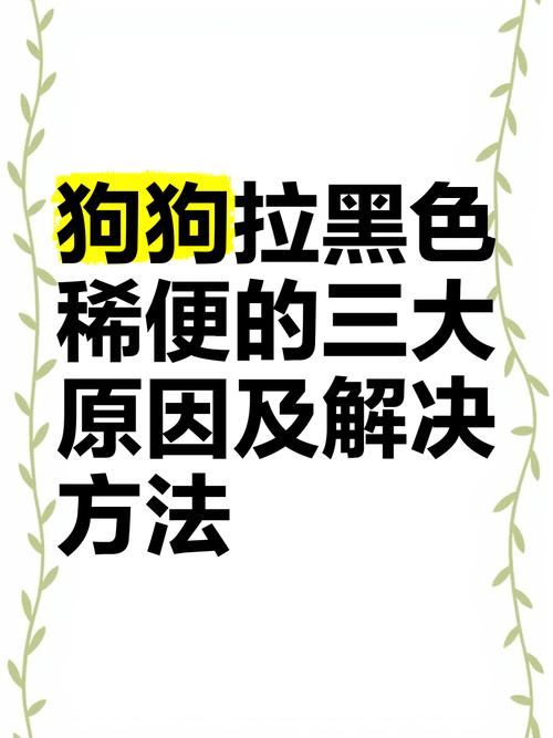 狗狗拉黑屎什么原因