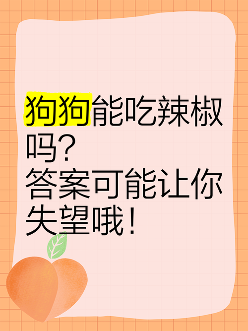 狗狗能吃辣的东西吗