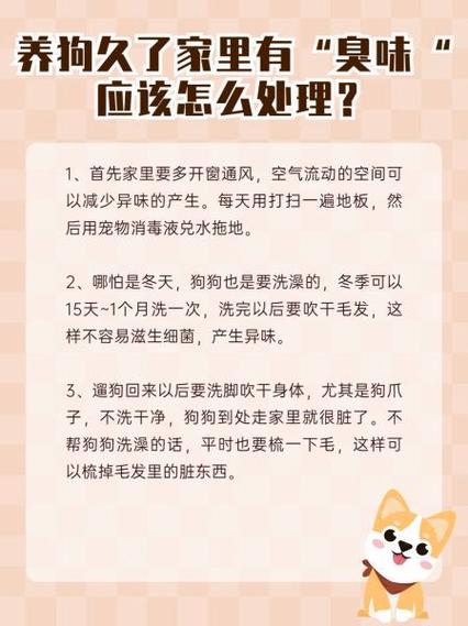 家里宠物味道怎么去除