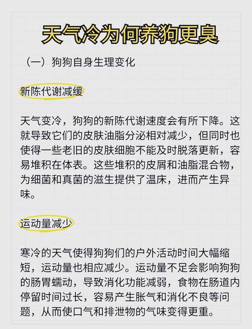 为什么你家狗狗闻起来总是臭臭的
