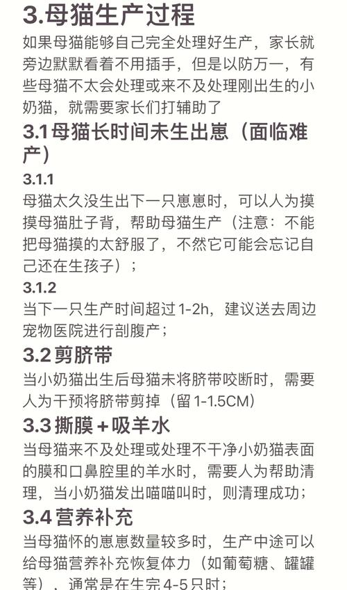 猫咪生产需要准备什么