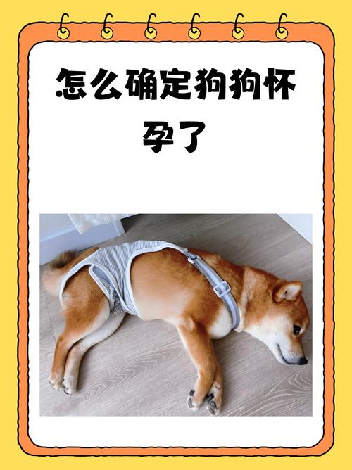 狗狗吃什么流产最快?