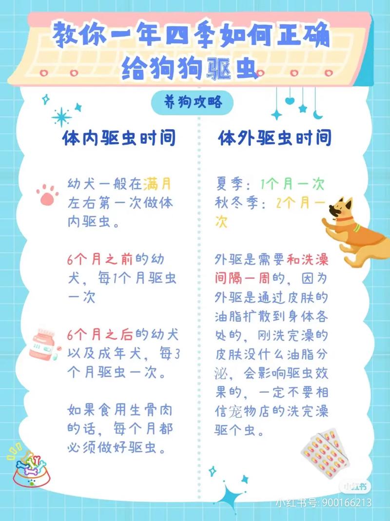 新手养猫get!猫咪驱虫、喂养、疫苗