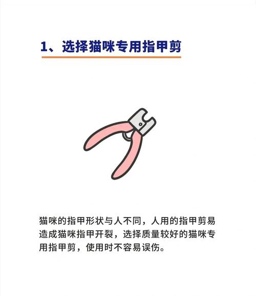 猫多久剪一次指甲