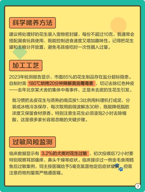 狗狗可以吃花生吗熟的