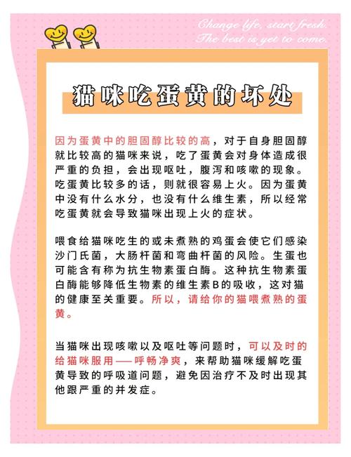 猫每天吃鸡蛋会怎么样?